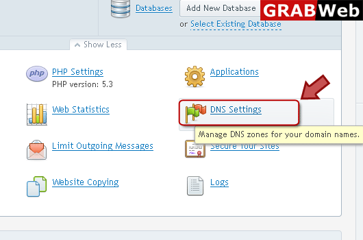 dns