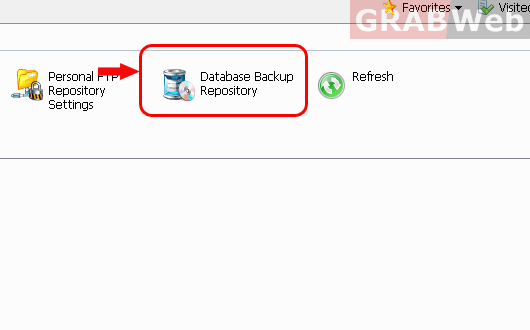 backup manager