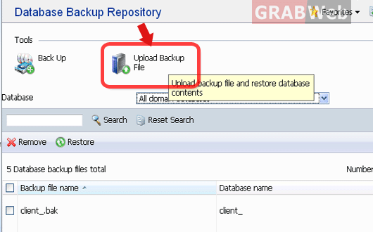 backup database