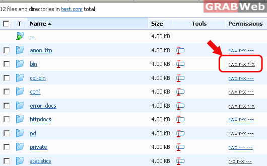 How to change file permissions in Plesk 10 - GRABWEB [India]