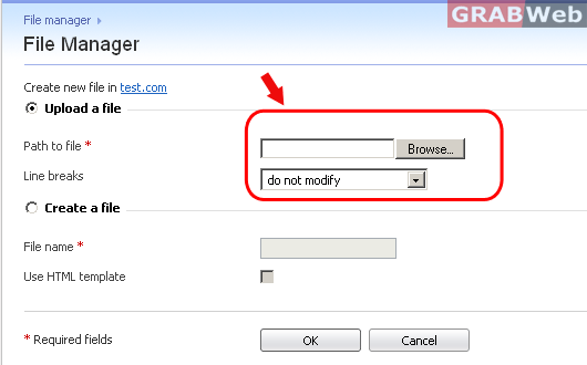How to upload file through Plesk 10 - GRABWEB [India]