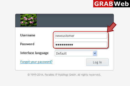 dns